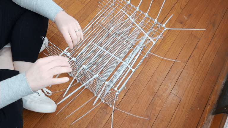 Screen Shot 2019-03-26 at 7.18.36 AM.png